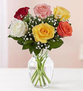 6 Assorted Roses Vase