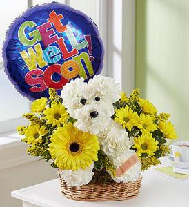 Sick As a Dog – Blooms By Vickrey, Camp Hill PA