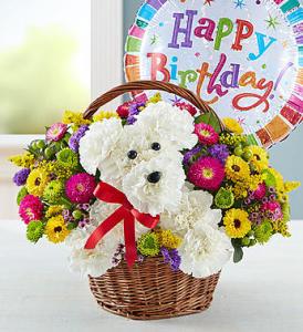 a-DOG-able in a Basket-Birthday – Blooms By Vickrey, Camp Hill PA