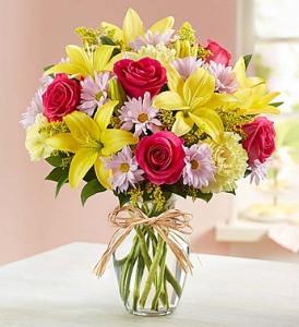 Fields of Europe for Spring – Blooms By Vickrey, Camp Hill PA