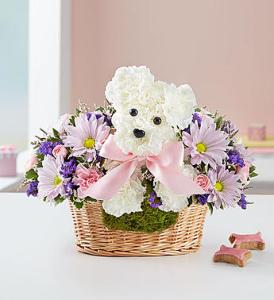 It's a-DOG-able Baby Girl – Blooms By Vickrey, Camp Hill PA