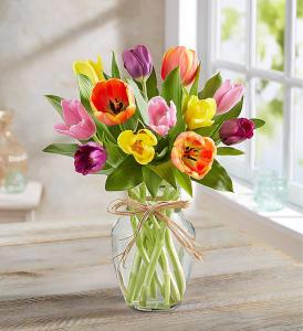Timeless Tulips – Blooms By Vickrey, Camp Hill PA