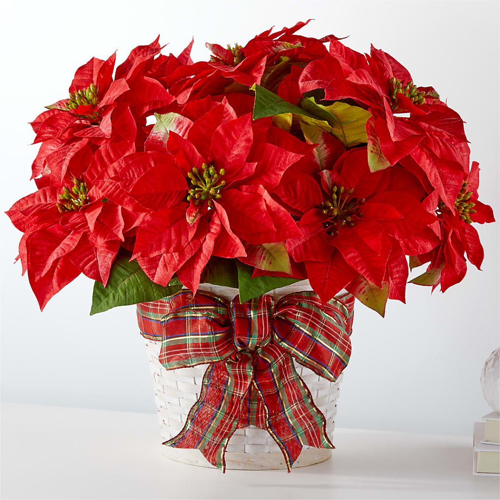 Happiest Holidays Poinsettia – Blooms By Vickrey, Camp Hill PA