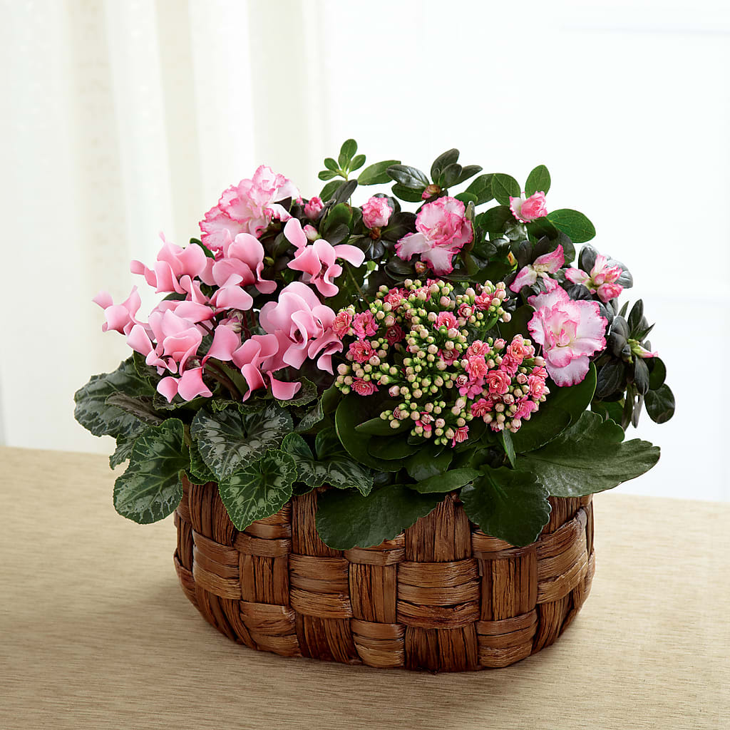 Pink Assortment – Blooms By Vickrey, Camp Hill PA