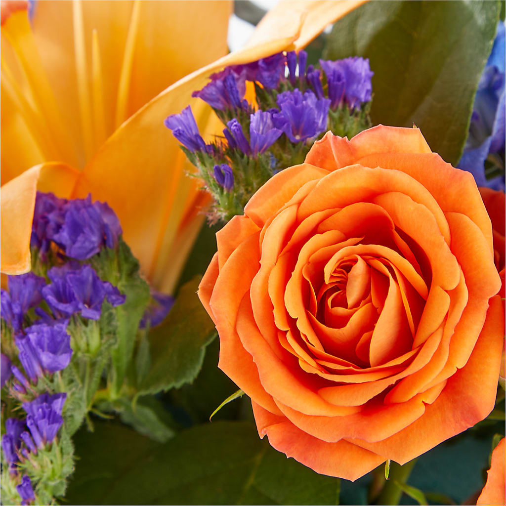 Radiant Citrus Box Bouquet – Blooms By Vickrey, Camp Hill PA