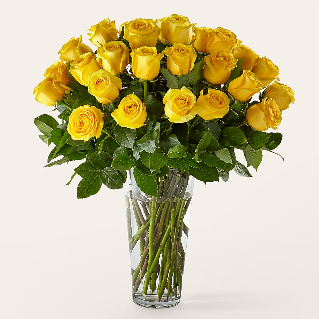 Long Stem Yellow Rose Bouquet – Blooms By Vickrey, Camp Hill PA