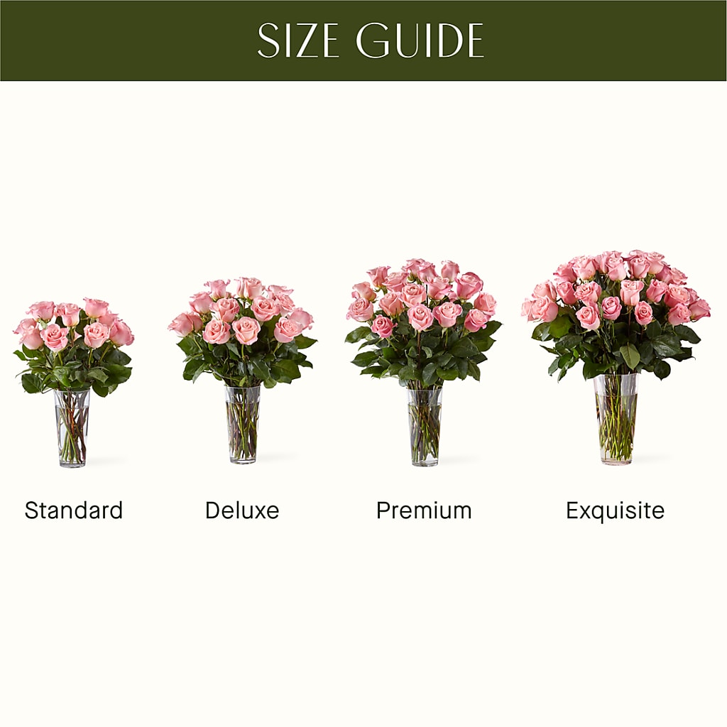Long Stem Pink Rose Bouquet – Blooms By Vickrey, Camp Hill PA