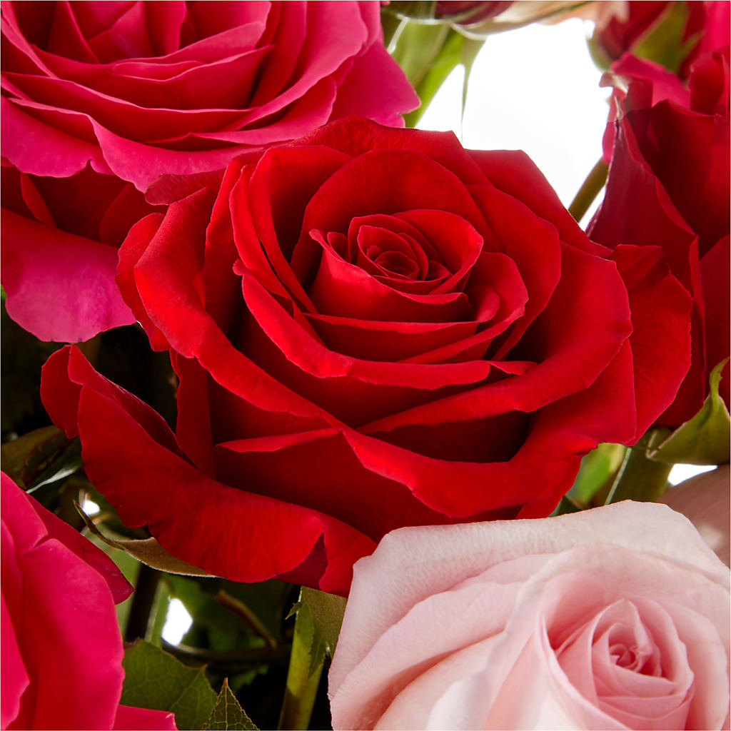 Love Notes Rose Bouquet – Blooms By Vickrey, Camp Hill PA