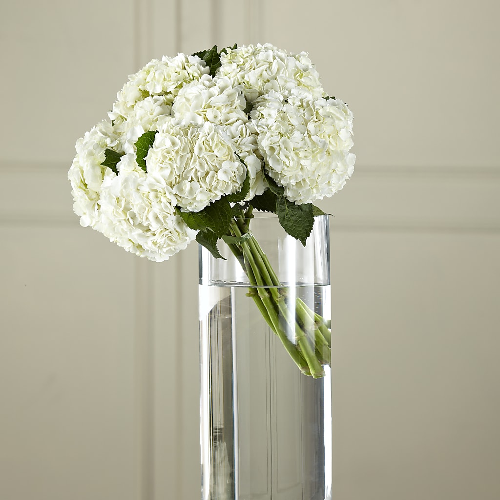White Hydrangea Hand-Tied Bouquet – Blooms By Vickrey, Camp Hill PA
