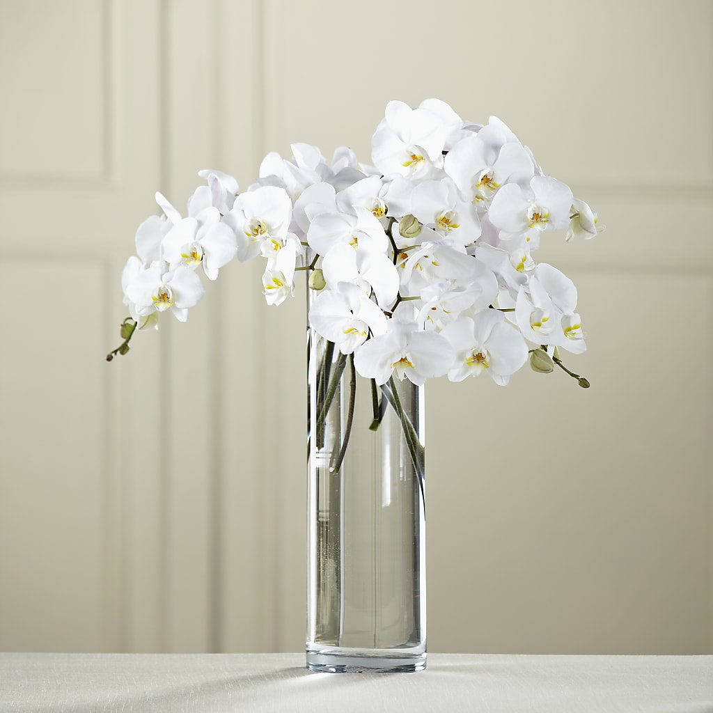 White Phalaenopsis Bouquet – Blooms By Vickrey, Camp Hill PA