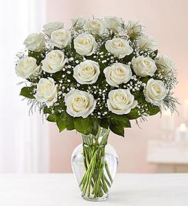 White Rose Vase