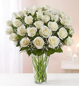 White Rose Vase