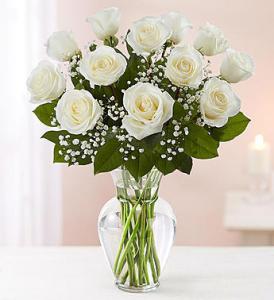 White Rose Vase