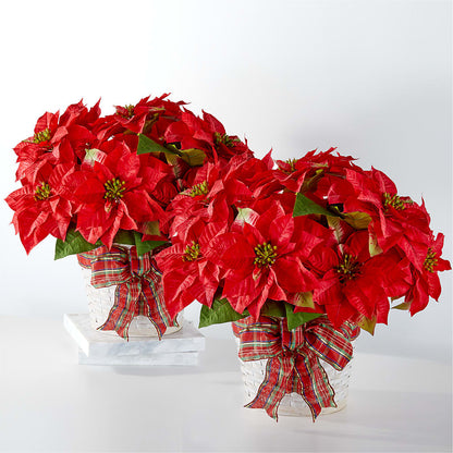 Happiest Holidays Poinsettia Bundle –  Blooms By Vickrey, Camp Hill PA