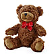 Adorable Plush Bear –  Blooms By Vickrey, Camp Hill PA