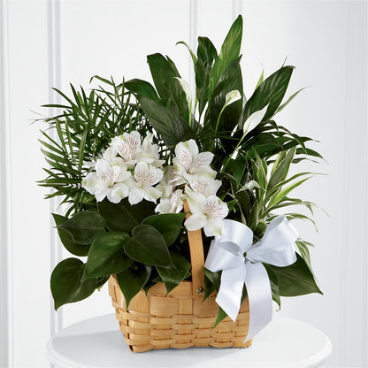 Peace & Serenity Dishgarden –  Blooms By Vickrey, Camp Hill PA