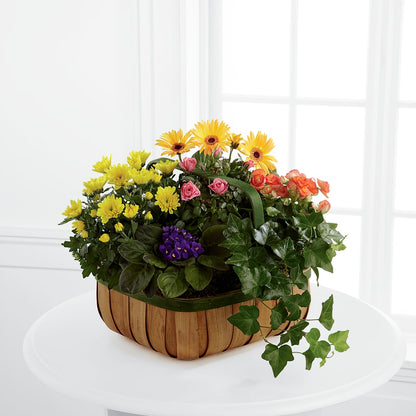 Gentle Blossoms Basket –  Blooms By Vickrey, Camp Hill PA