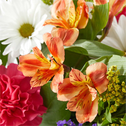 Oopsie Daisy Box Bouquet –  Blooms By Vickrey, Camp Hill PA