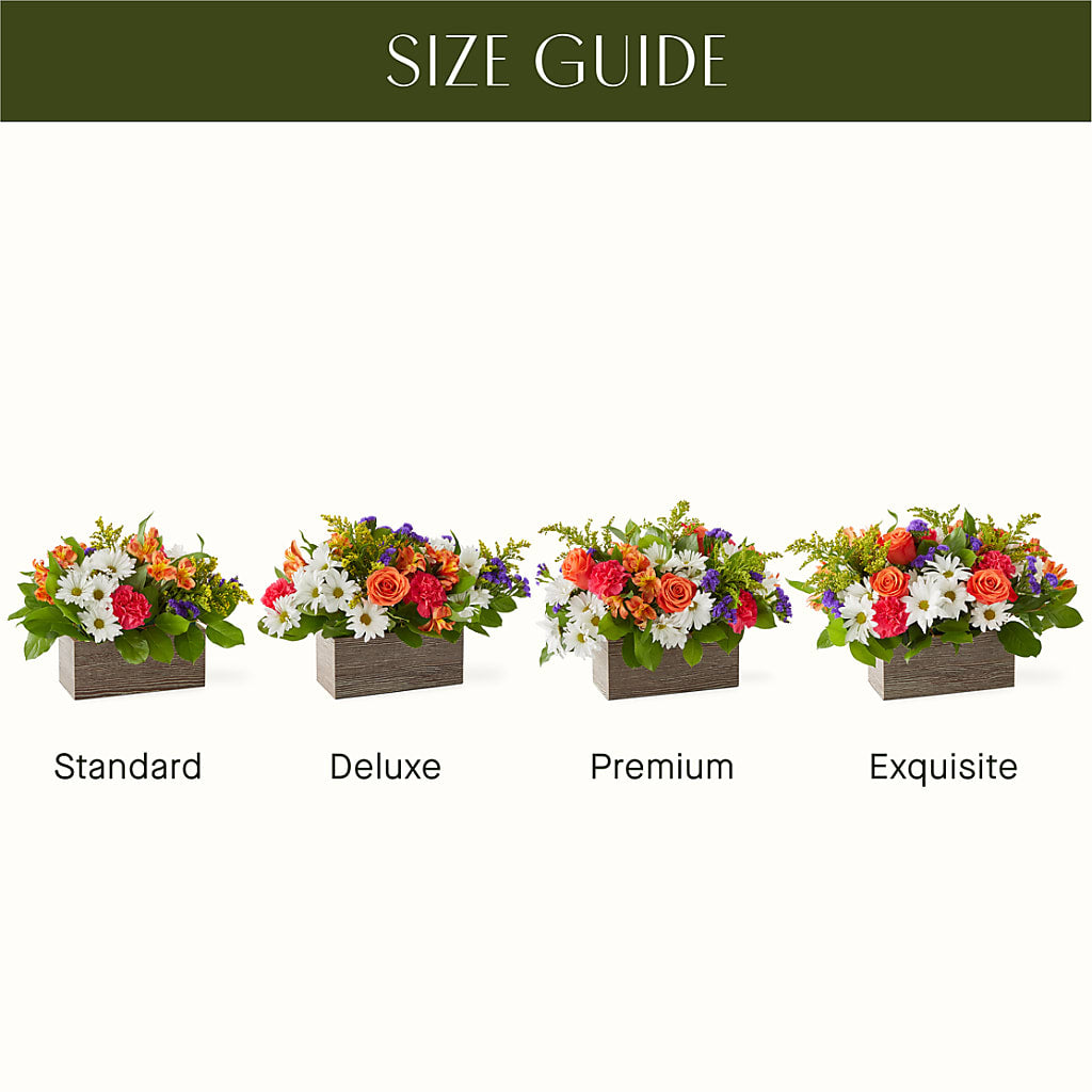 Oopsie Daisy Box Bouquet –  Blooms By Vickrey, Camp Hill PA