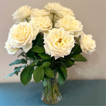 Long Stem Yellow Rose Bouquet –  Blooms By Vickrey, Camp Hill PA