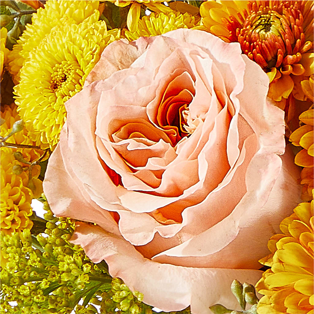 Peachy Pumpkin –  Blooms By Vickrey, Camp Hill PA