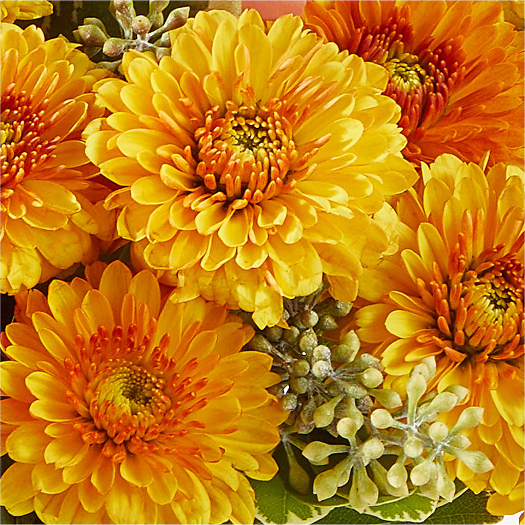 Peachy Pumpkin –  Blooms By Vickrey, Camp Hill PA