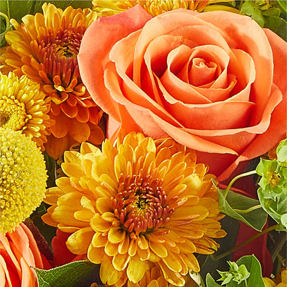 Gourdgeous Pumpkin –  Blooms By Vickrey, Camp Hill PA