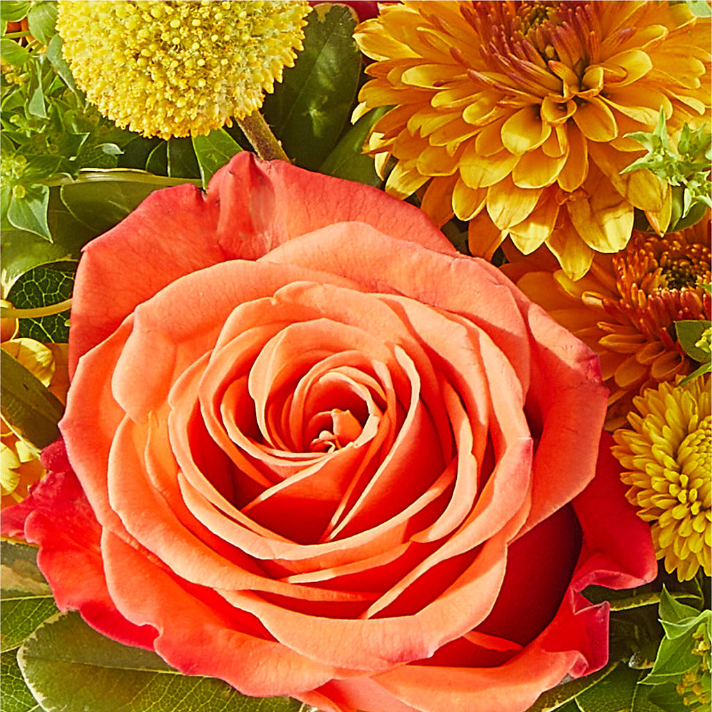 Gourdgeous Pumpkin –  Blooms By Vickrey, Camp Hill PA