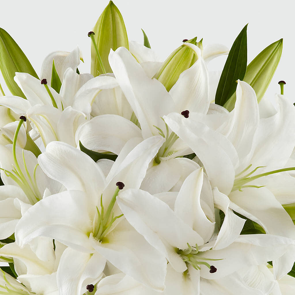 Faithful Blessings Bouquet –  Blooms By Vickrey, Camp Hill PA
