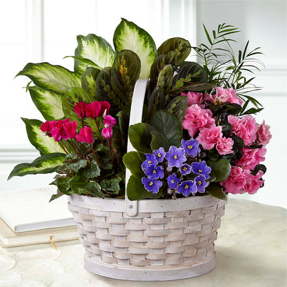 Peaceful Garden Planter –  Blooms By Vickrey, Camp Hill PA