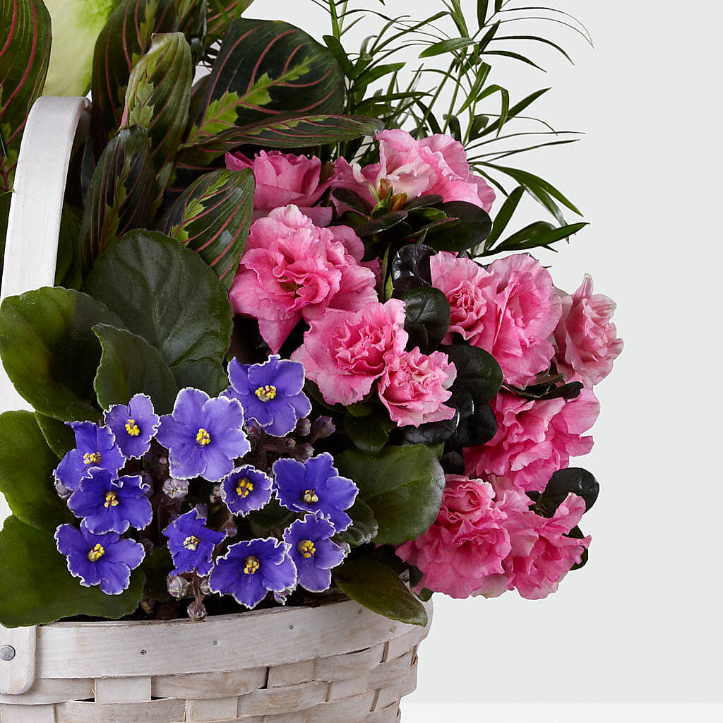 Peaceful Garden Planter –  Blooms By Vickrey, Camp Hill PA