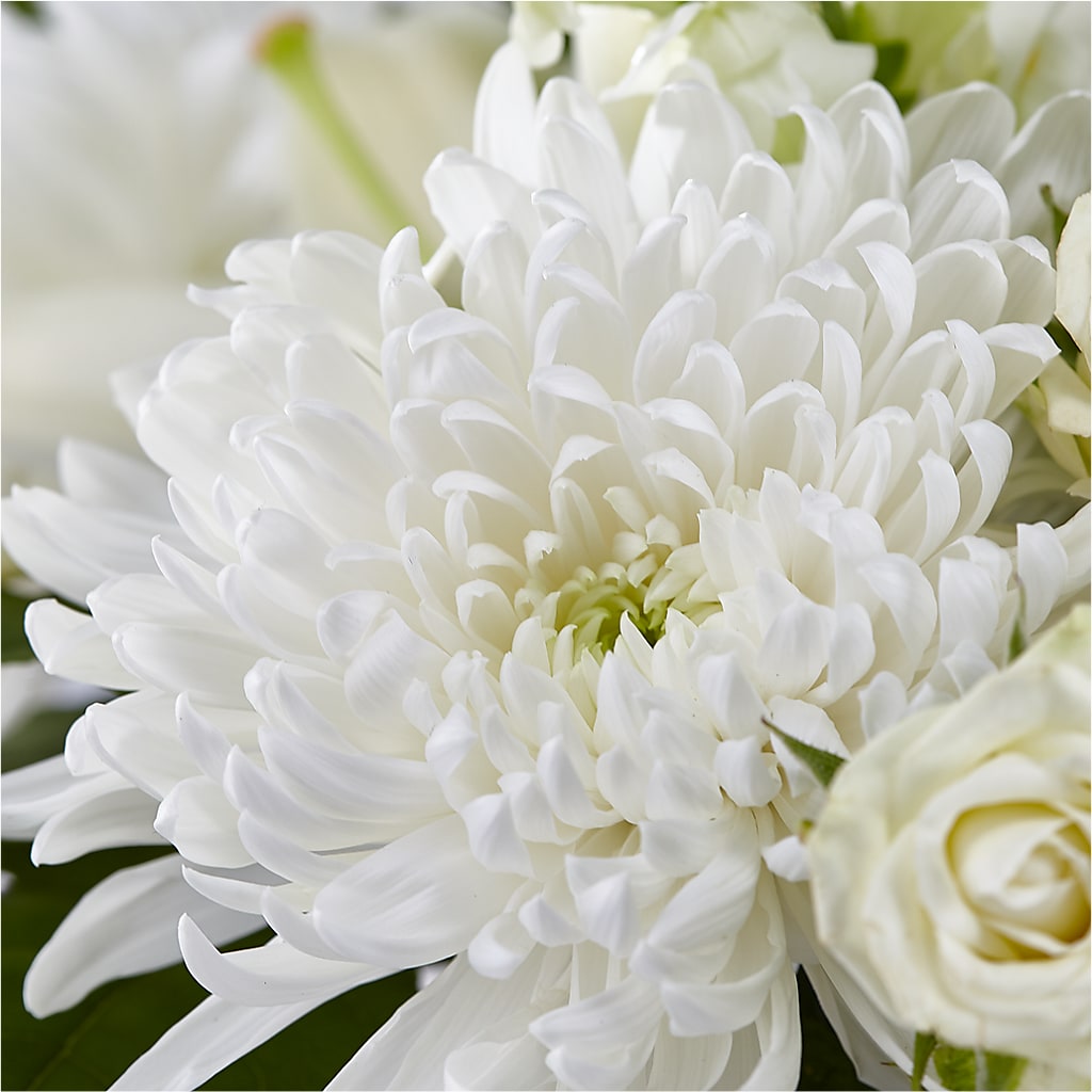 Classic Ivory – A Florist Original –  Blooms By Vickrey, Camp Hill PA