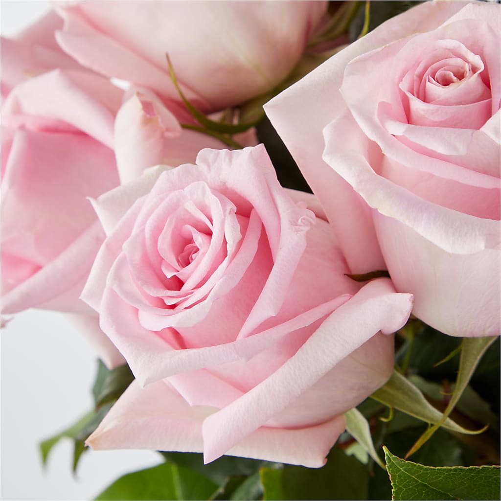 Picture Perfect Pink Rose Bouquet –  Blooms By Vickrey, Camp Hill PA