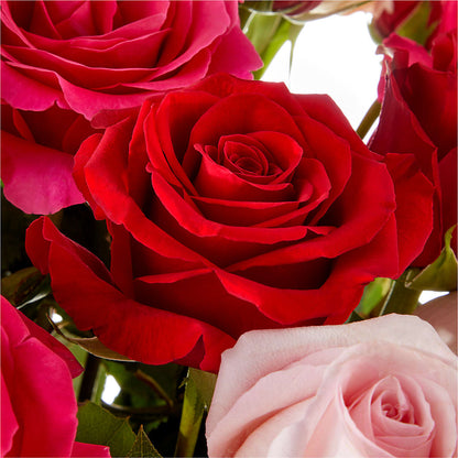 Love Notes Rose Bouquet –  Blooms By Vickrey, Camp Hill PA