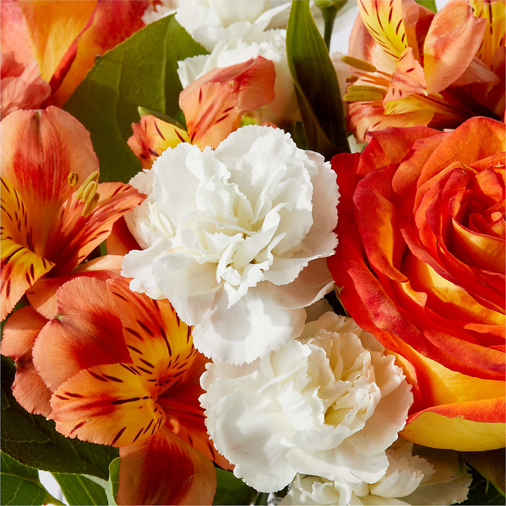 Apricot Glow Bouquet –  Blooms By Vickrey, Camp Hill PA