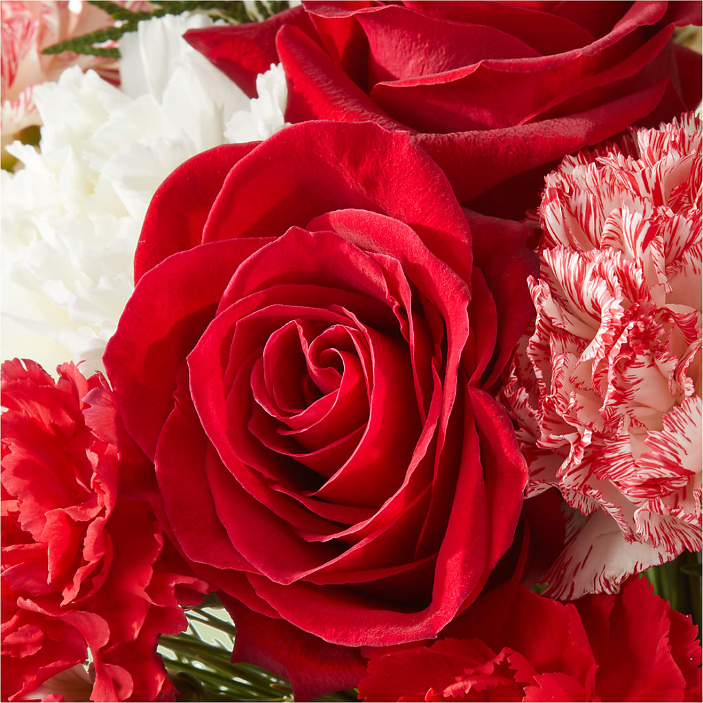 Candy Cane Lane Bouquet –  Blooms By Vickrey, Camp Hill PA