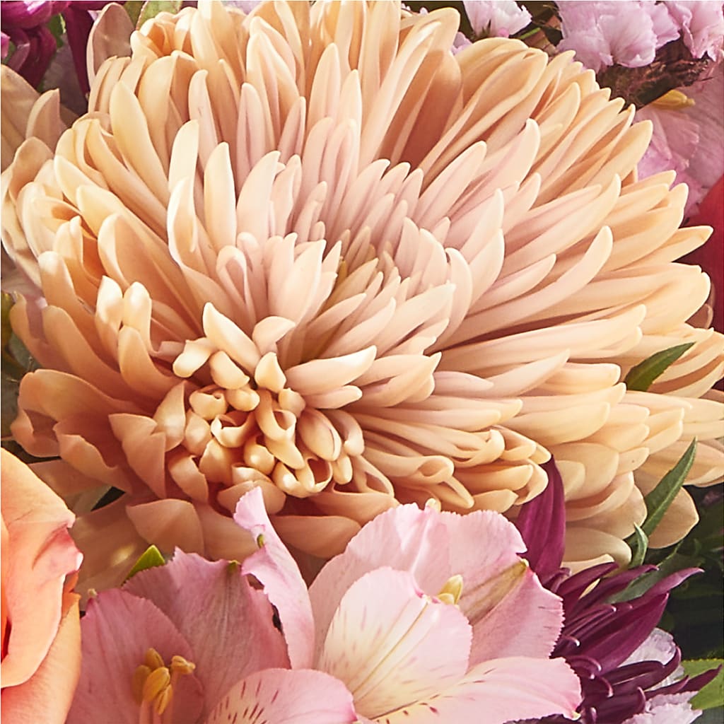 Berry Cobbler Bouquet –  Blooms By Vickrey, Camp Hill PA