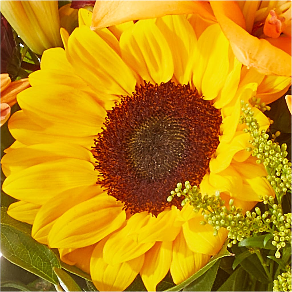 Seasons Change Bouquet –  Blooms By Vickrey, Camp Hill PA
