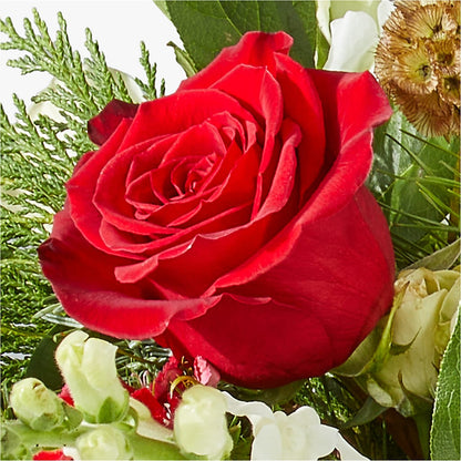 Deck the Halls Bouquet –  Blooms By Vickrey, Camp Hill PA