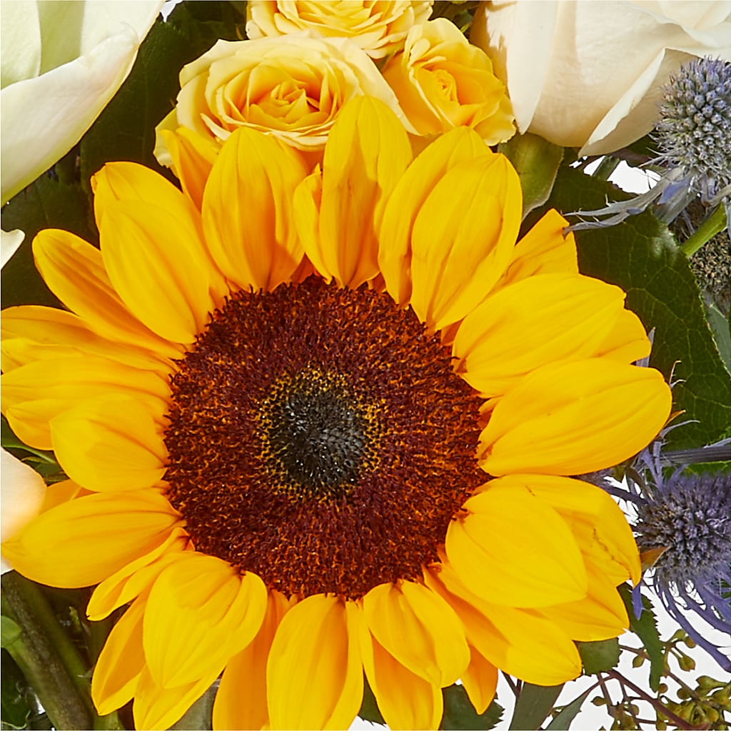 Wonderfully Sunny Bouquet –  Blooms By Vickrey, Camp Hill PA
