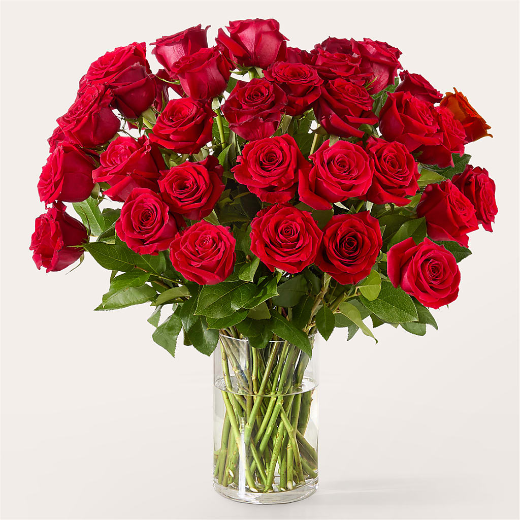 The One Red Rose Bouquet –  Blooms By Vickrey, Camp Hill PA