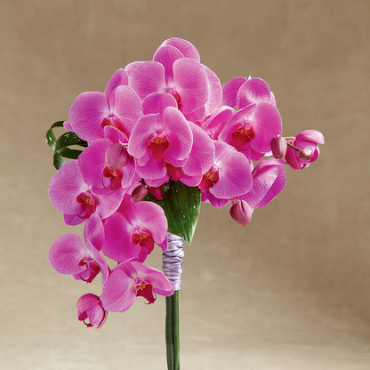 Glorious Bouquet –  Blooms By Vickrey, Camp Hill PA