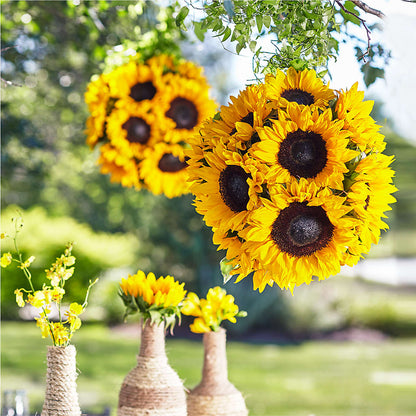 Sublime Garden Hanging Arrangement –  Blooms By Vickrey, Camp Hill PA