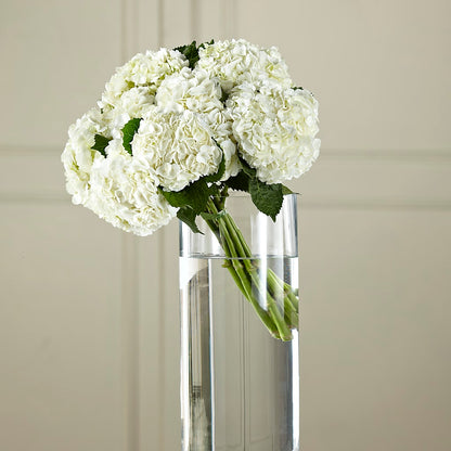 White Hydrangea Hand-Tied Bouquet –  Blooms By Vickrey, Camp Hill PA