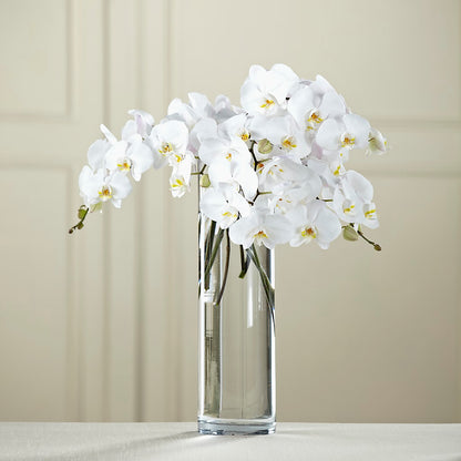 White Phalaenopsis Bouquet –  Blooms By Vickrey, Camp Hill PA